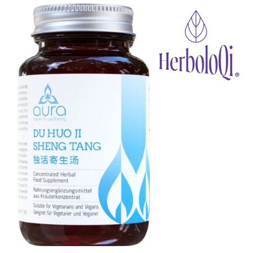 Du Huo Ji Sheng Tang (Hairy Root & Panax Ginseng)