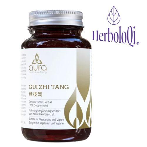 Gui Zhi Tang