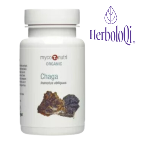 Chaga