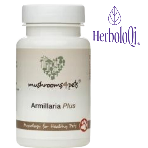 Armollaria Plus